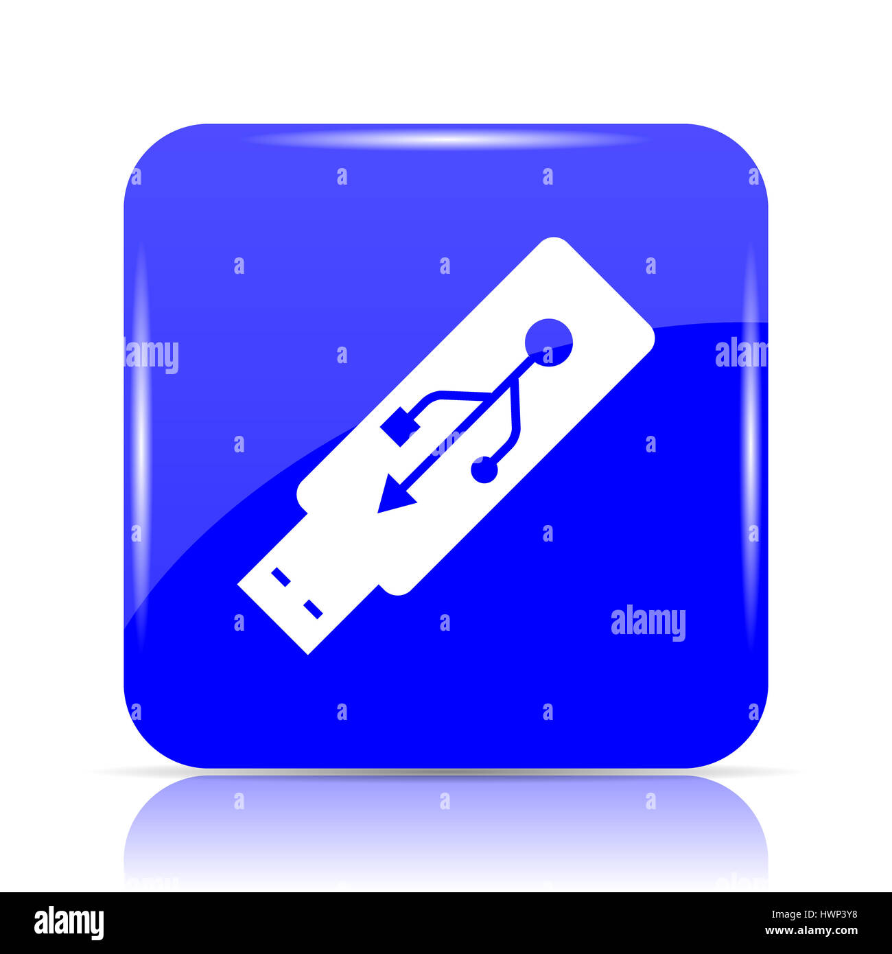 Usb flash drive icon, blue website button on white background Stock ...
