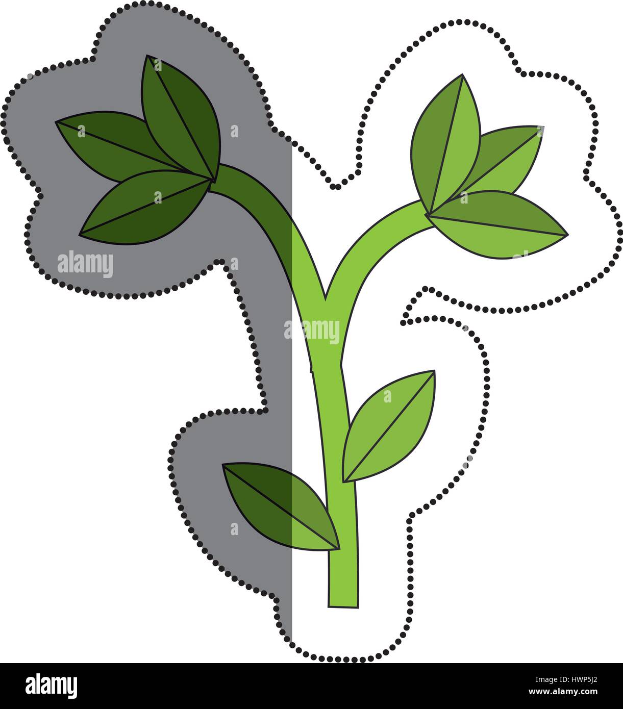 tree plant isolated icon vector illustration design Stock Vector Image ...