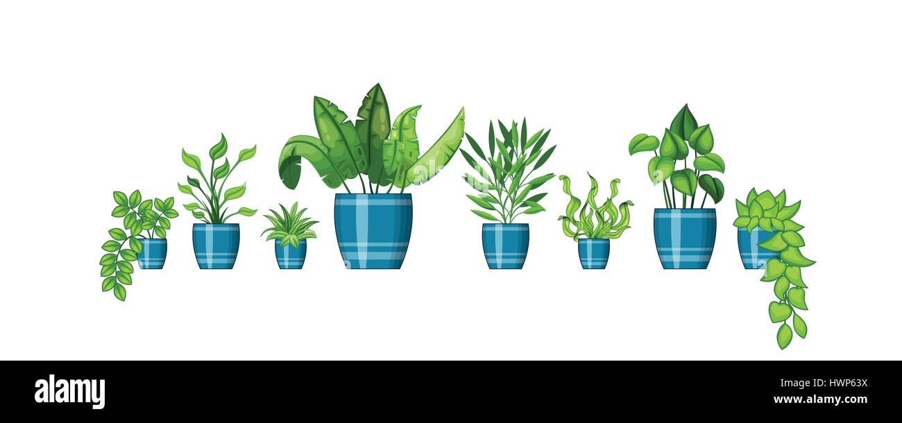 Set of different plants in flowerpot Stock Vector Image & Art - Alamy