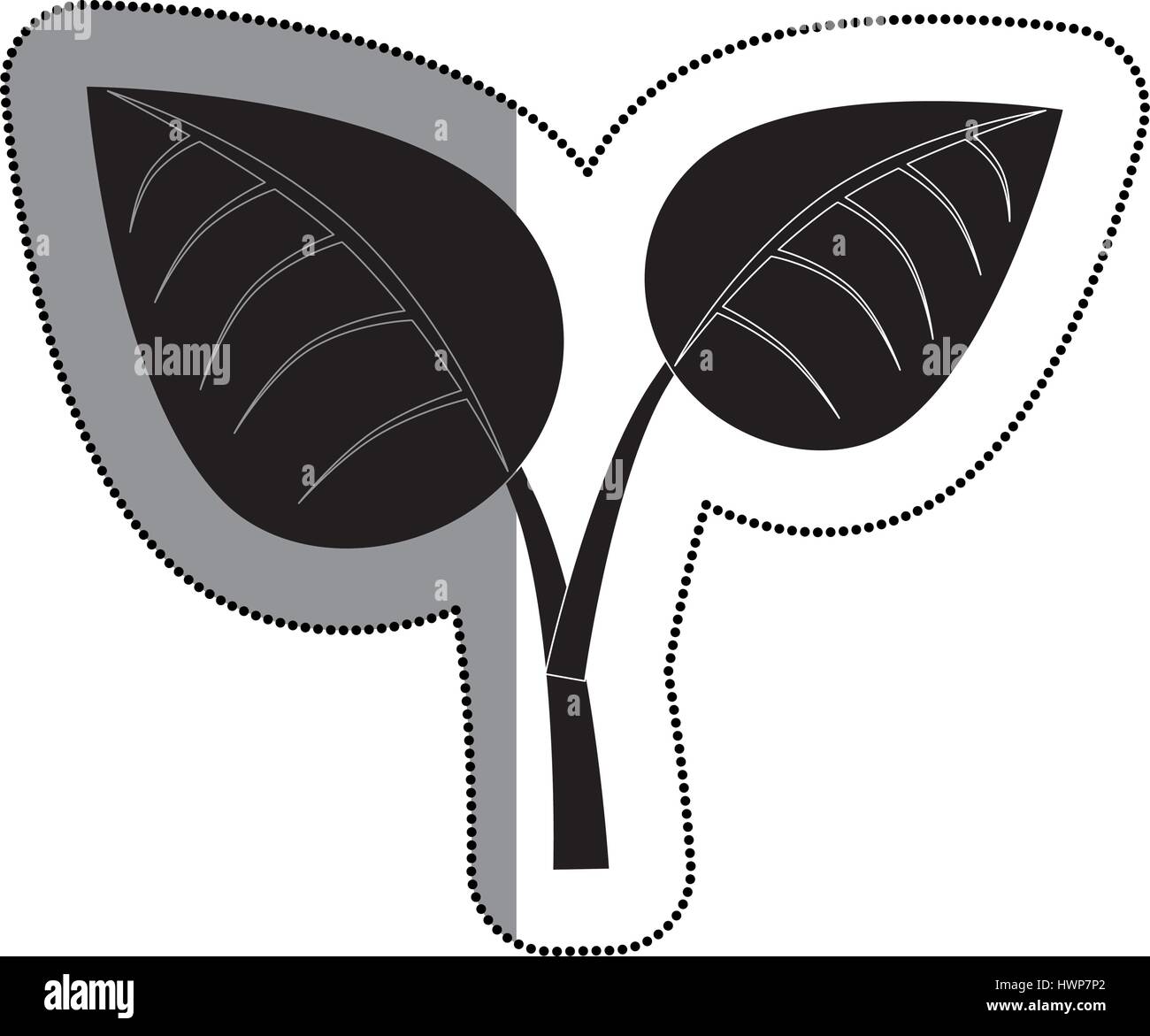 leafs plant isolated icon vector illustration design Stock Vector Image ...