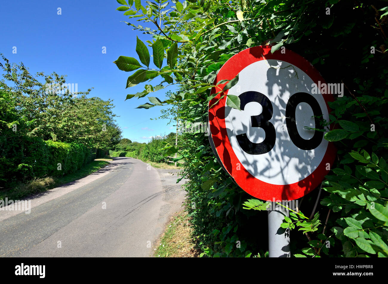 Almost obscured 30mph speed limit sign on a country road. Kent, England, UK. Stock Photo