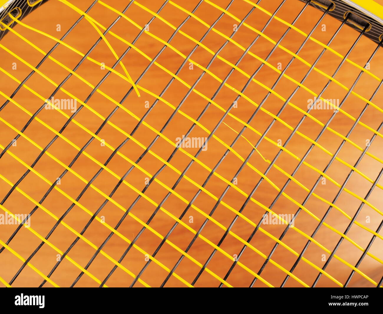 String break of a mains synthetic monofilament polyester Tennis string