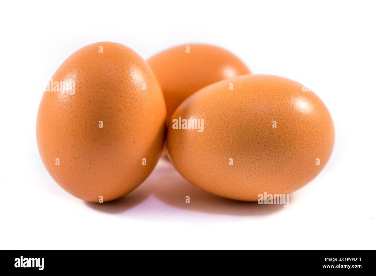 Eggs on a white background eggs hires stock photography and images Alamy