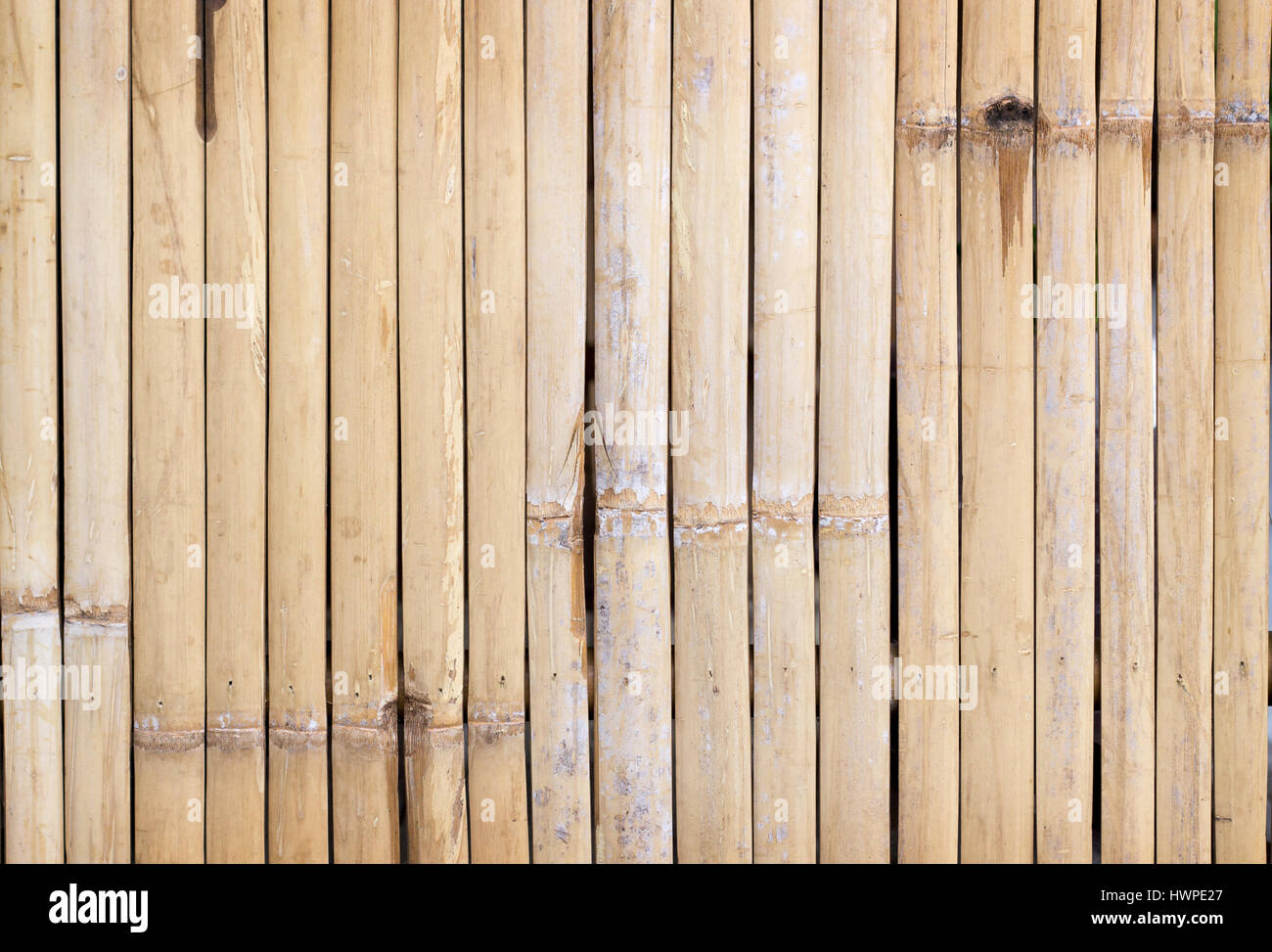 https://c8.alamy.com/comp/HWPE27/bamboo-wood-texture-for-ground-wall-or-blackdrop-HWPE27.jpg