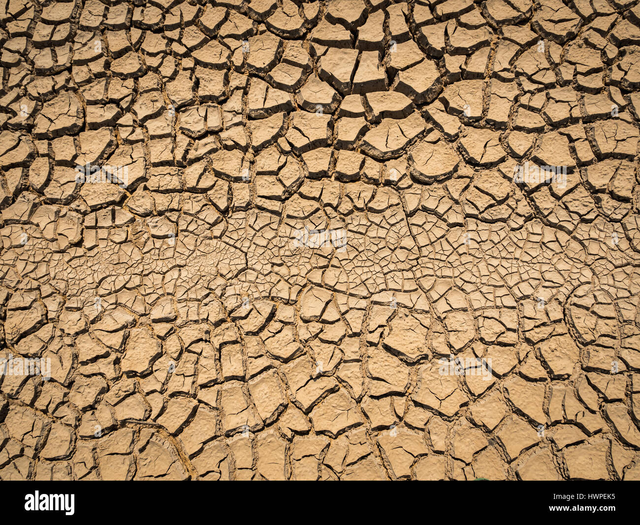 dried and cracked soil in arid season. Stock Photo