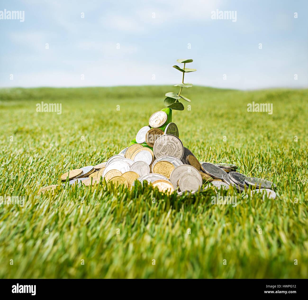 Coins on grass Stock Photo - Alamy