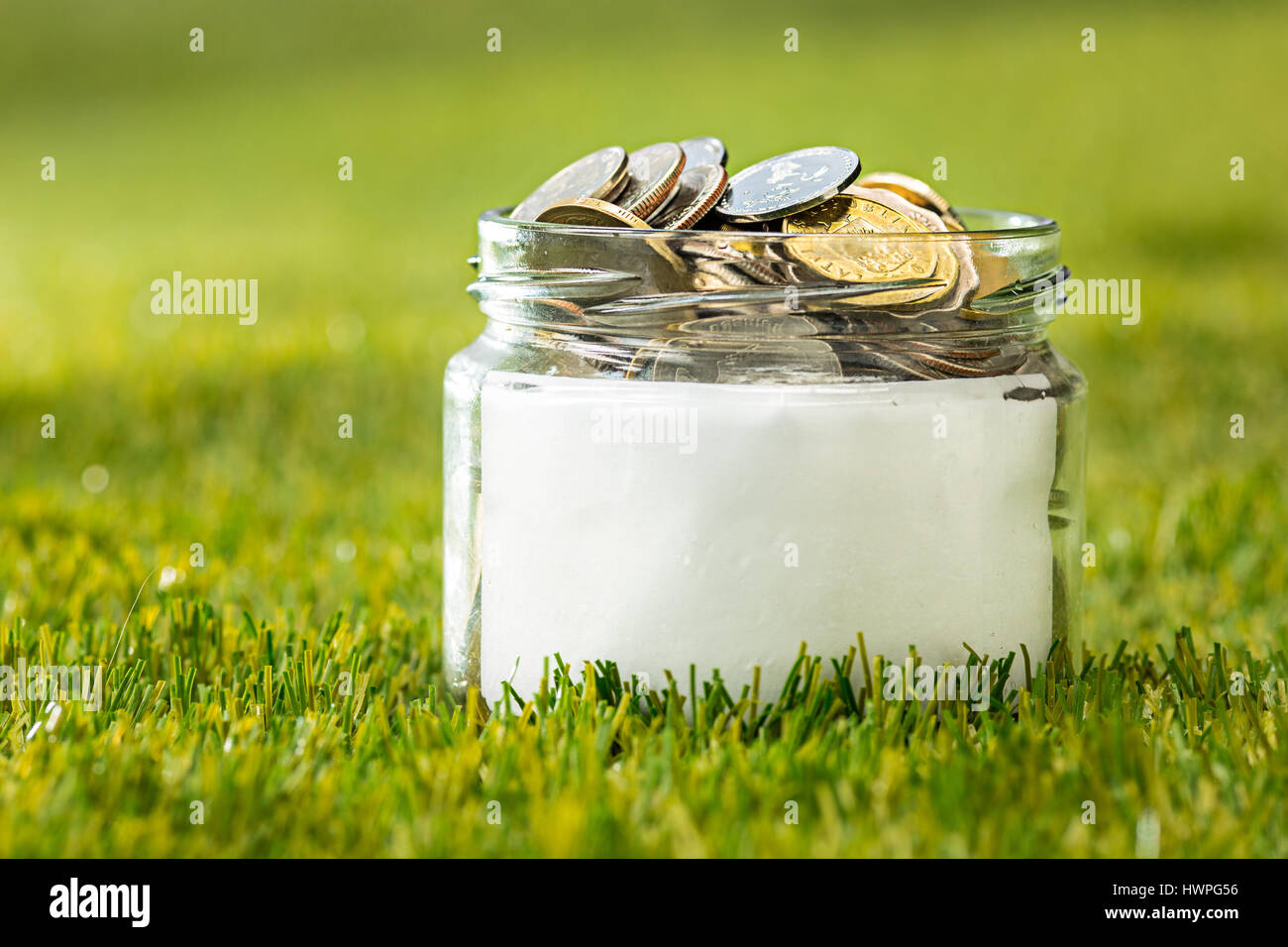 Plant growing in Coins glass jar for money on green grass Stock Photo ...