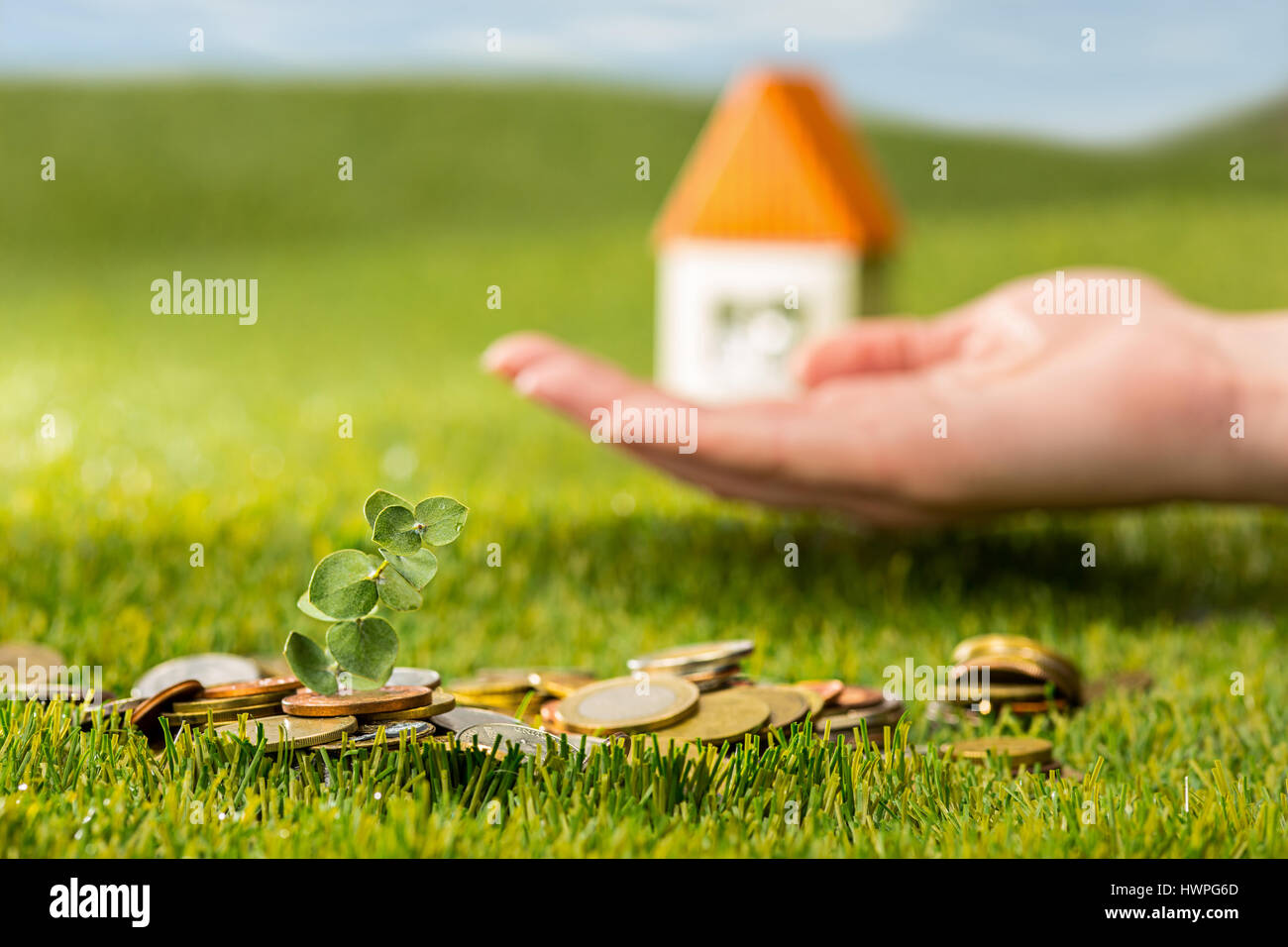 Plant growing in Coins glass jar for money on green grass Stock Photo ...