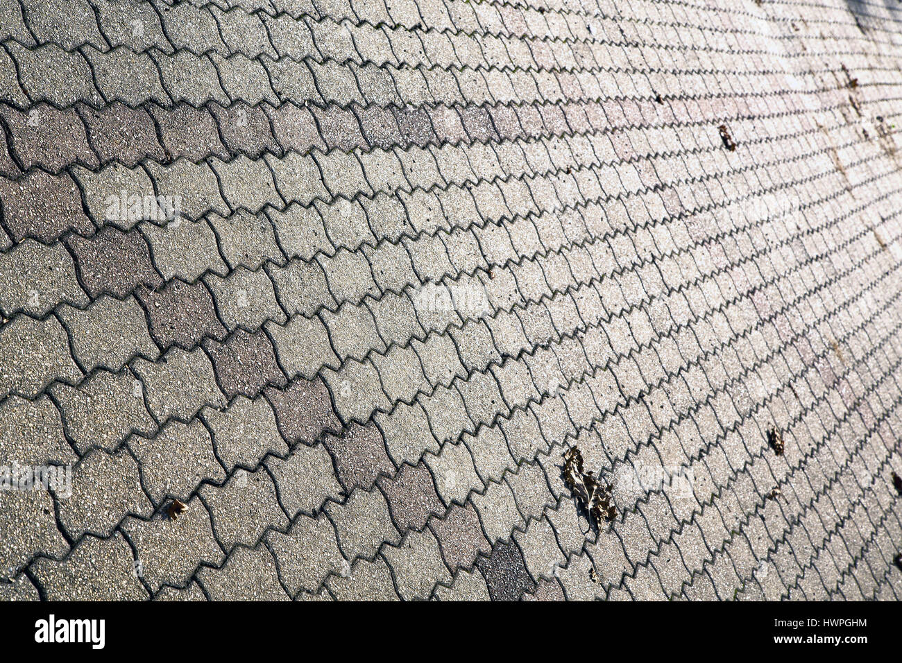 in the legnano street lombardy italy varese abstract pavement of a ...