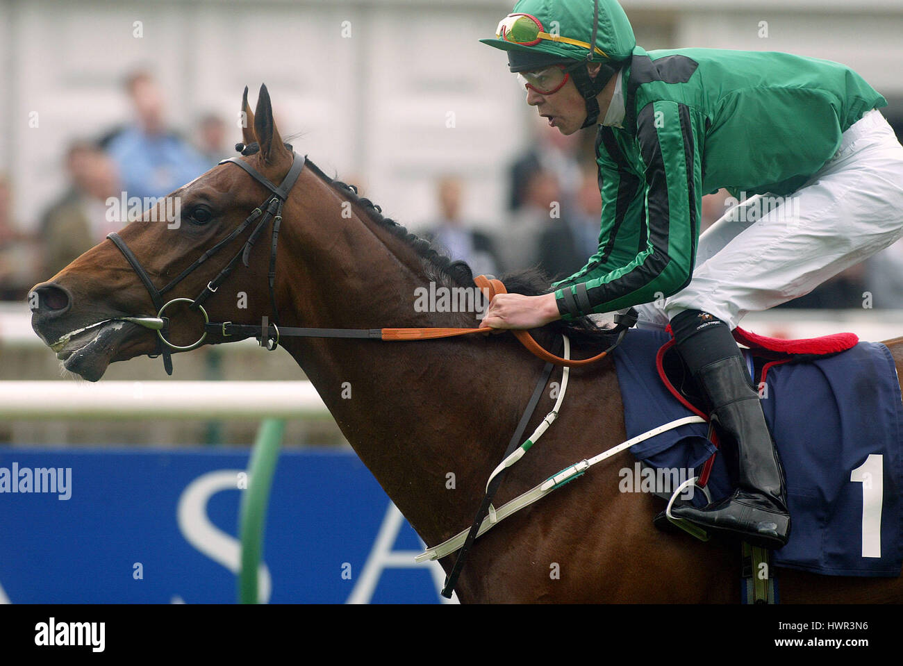 Newmarket racing delsarte hires stock photography and images Alamy