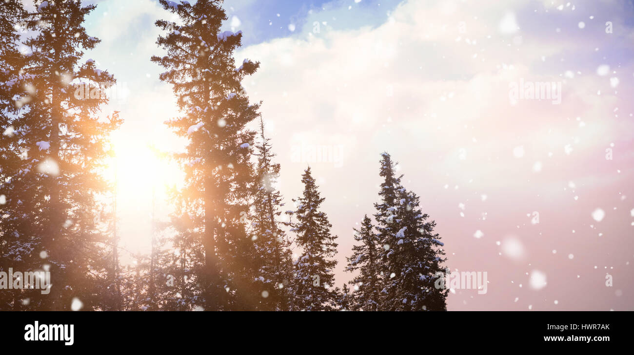 Silhouette three pine trees hi-res stock photography and images - Alamy
