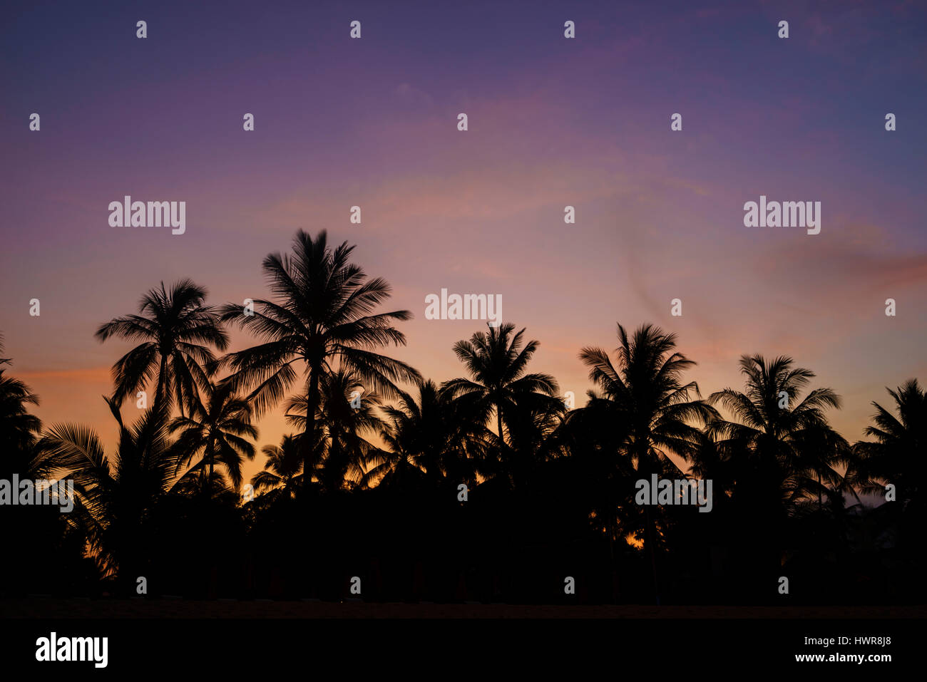 Silhouette coconut palm trees on beach at sunset Stock Photo - Alamy