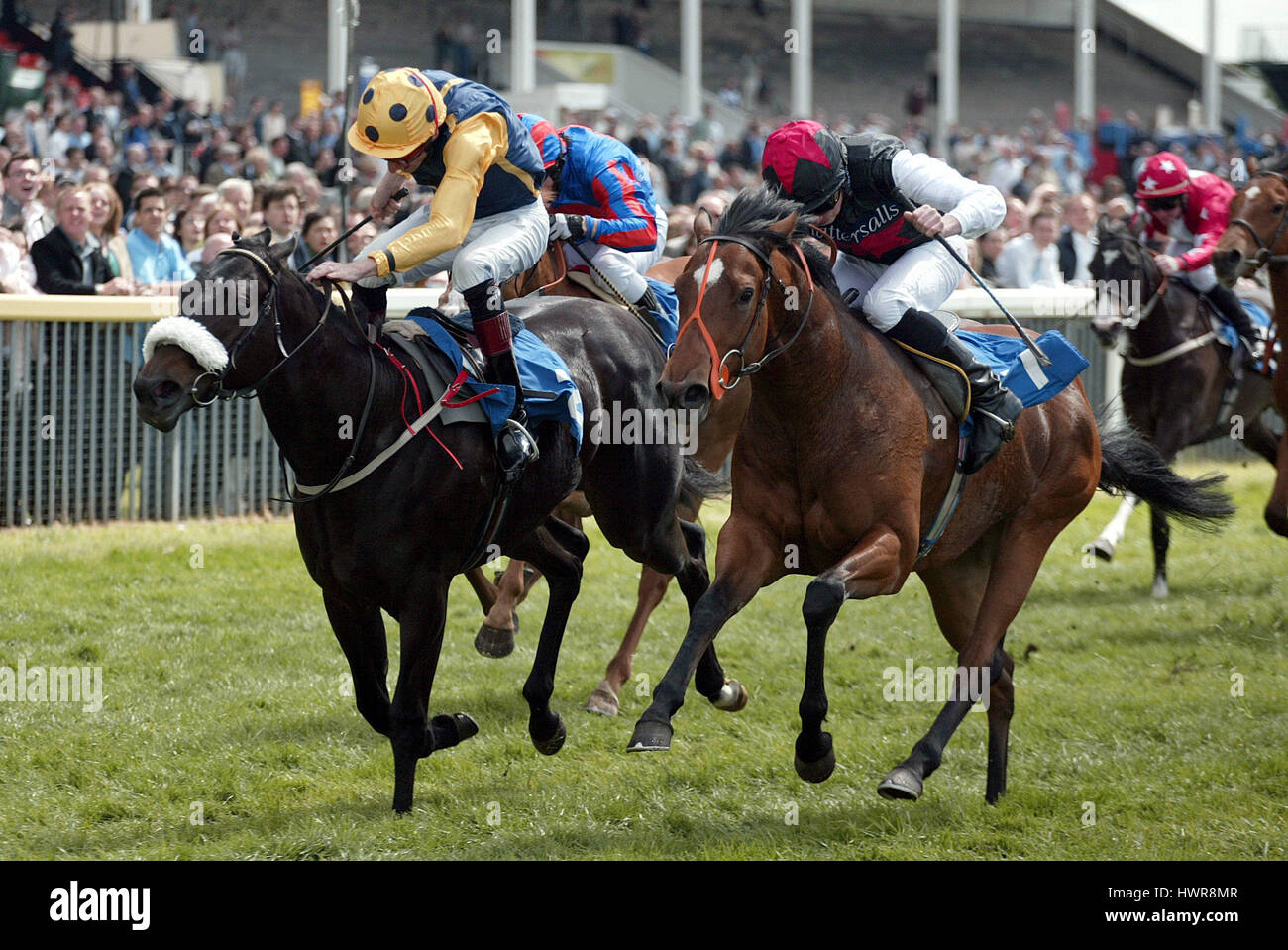 BOW BRIDGE & GAMBLE IN GOLD RIDDEN BY D.GIBSON & R.L.MOORE YORK RACECOURSE YORK ENGLAND 15 May 2005 Stock Photo