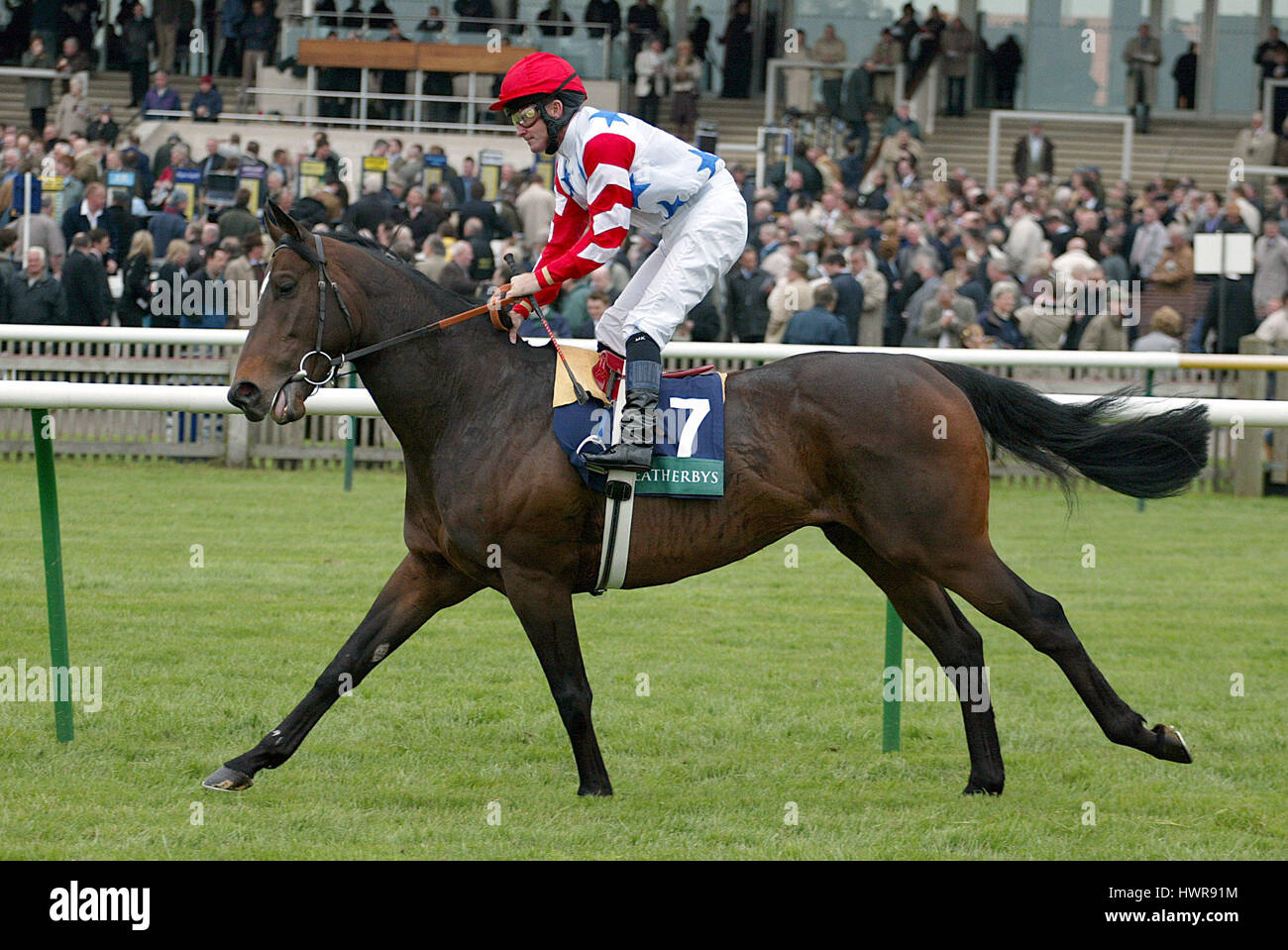 FORT DIGNITY RIDDEN BY M.J.KINANE NEWMARKET NEWMARKET RACECOURSE 13 April 2005 Stock Photo