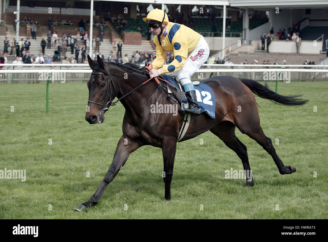 TOTALLY YOURS RIDDEN BY MARTIN DWYER NEWMARKET RACECOURSE NEWMARKET 14 April 2004 Stock Photo