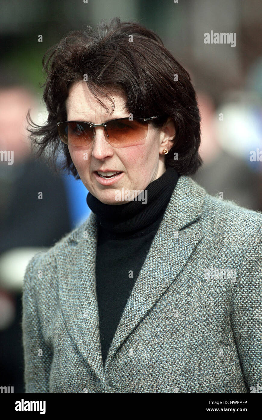 Trainer williams at cheltenham racecourse hires stock