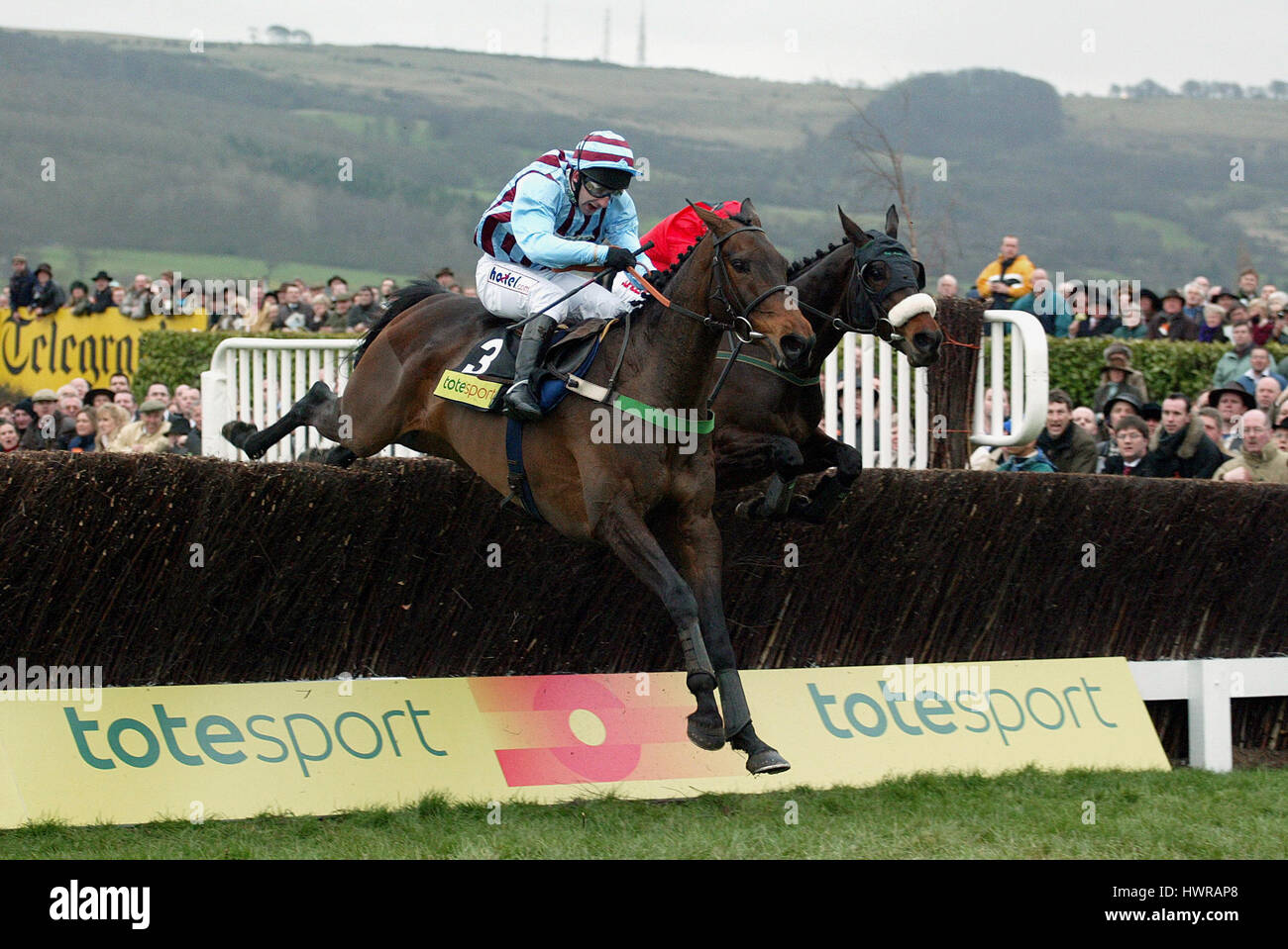 Best mate horse hires stock photography and images Alamy