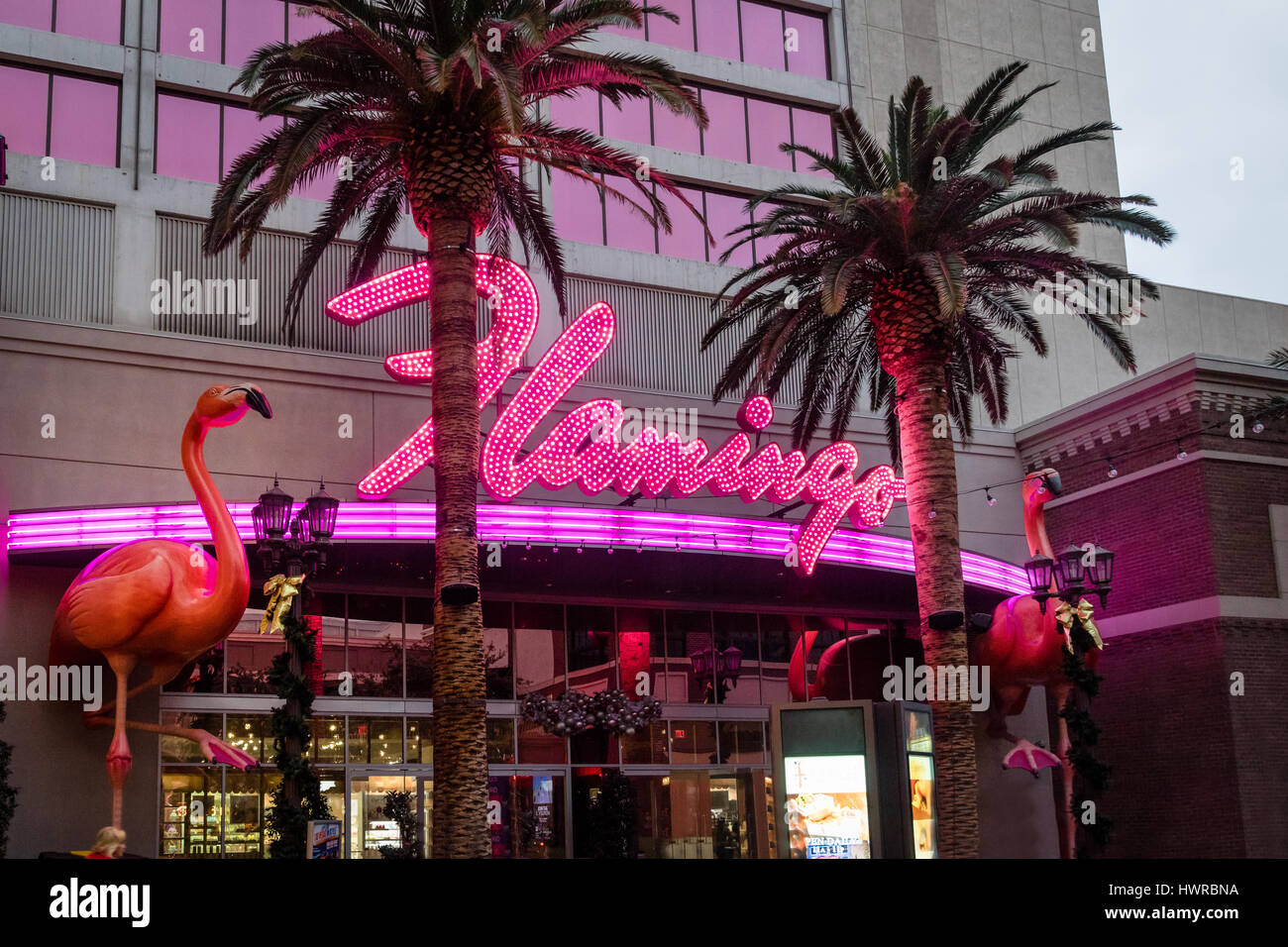 Flamingo Hotel and Casino Neon Sign - Las Vegas, Nevada, USA Stock Photo