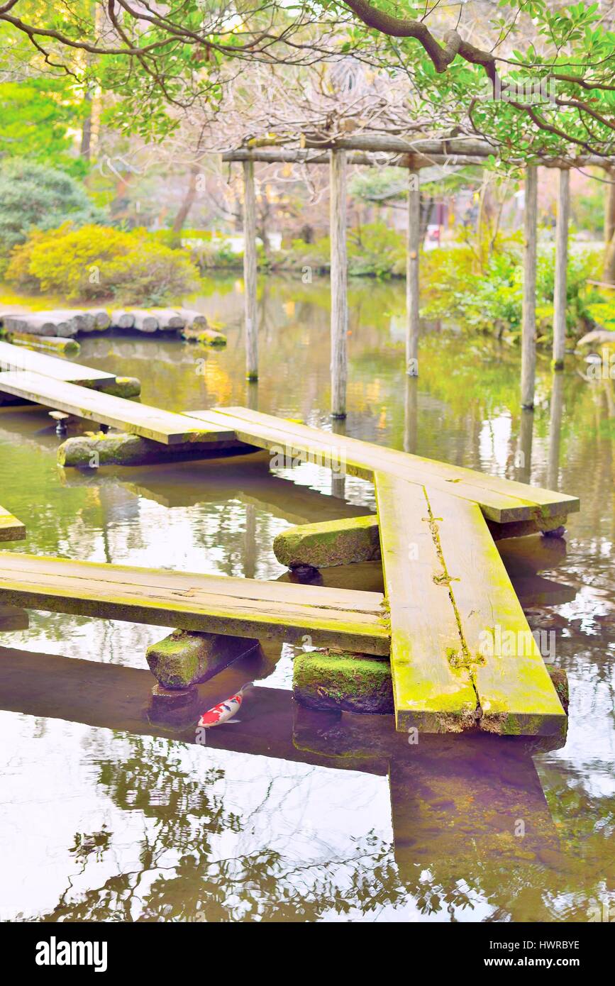 Wooden plank bridge, yatsuhashi, and carp fish in Japanese garden