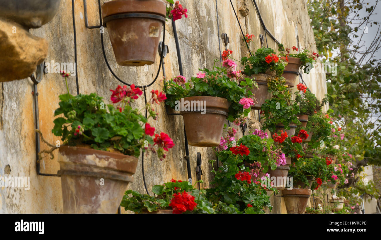 Colorful flowers lining a medieval stone wall Stock Photo - Alamy