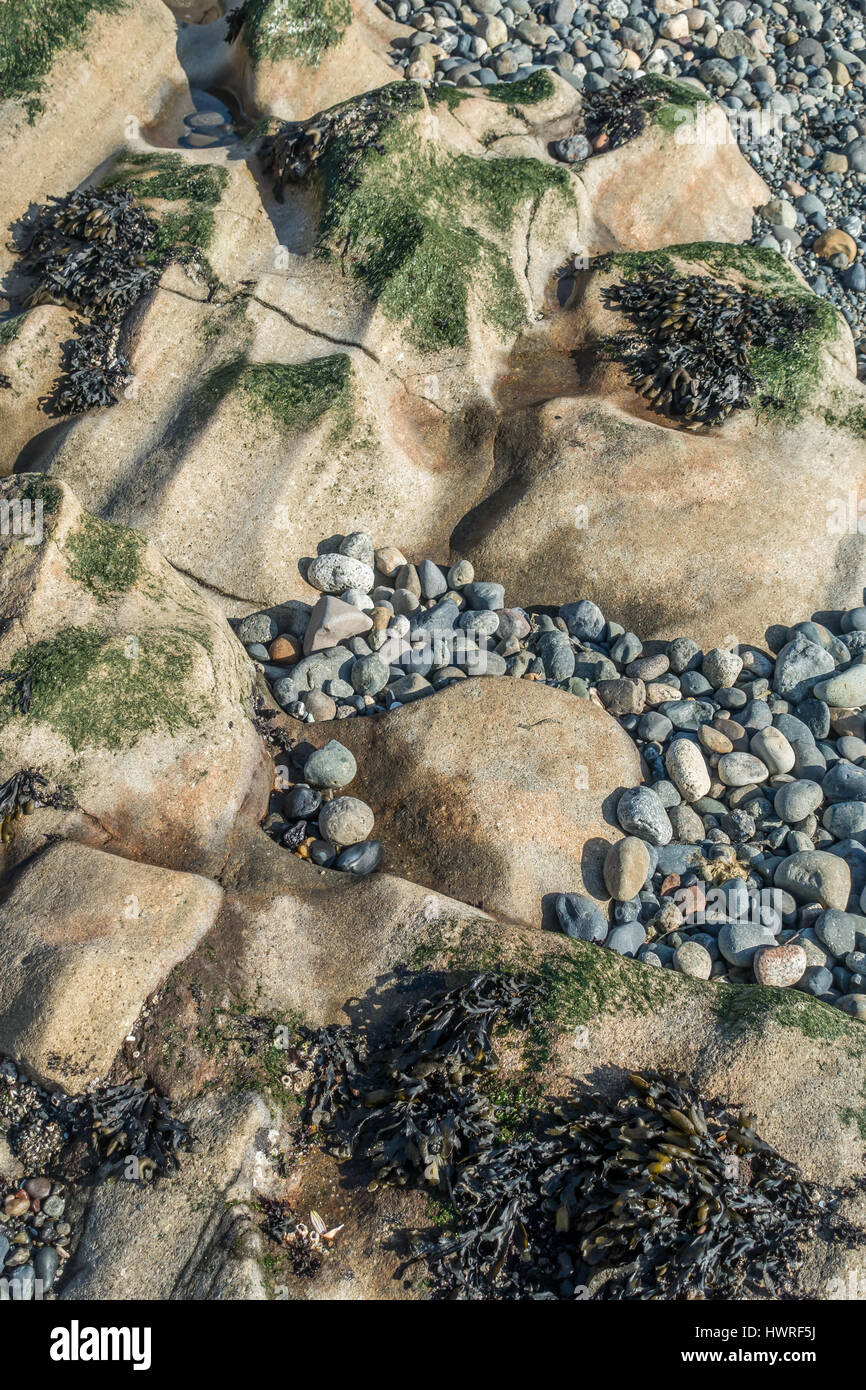 Super Smooth Rocks Smooth Rock