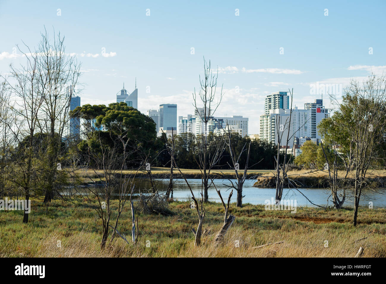 Perth City Skyline, View of the skyline of Harrison island, Western