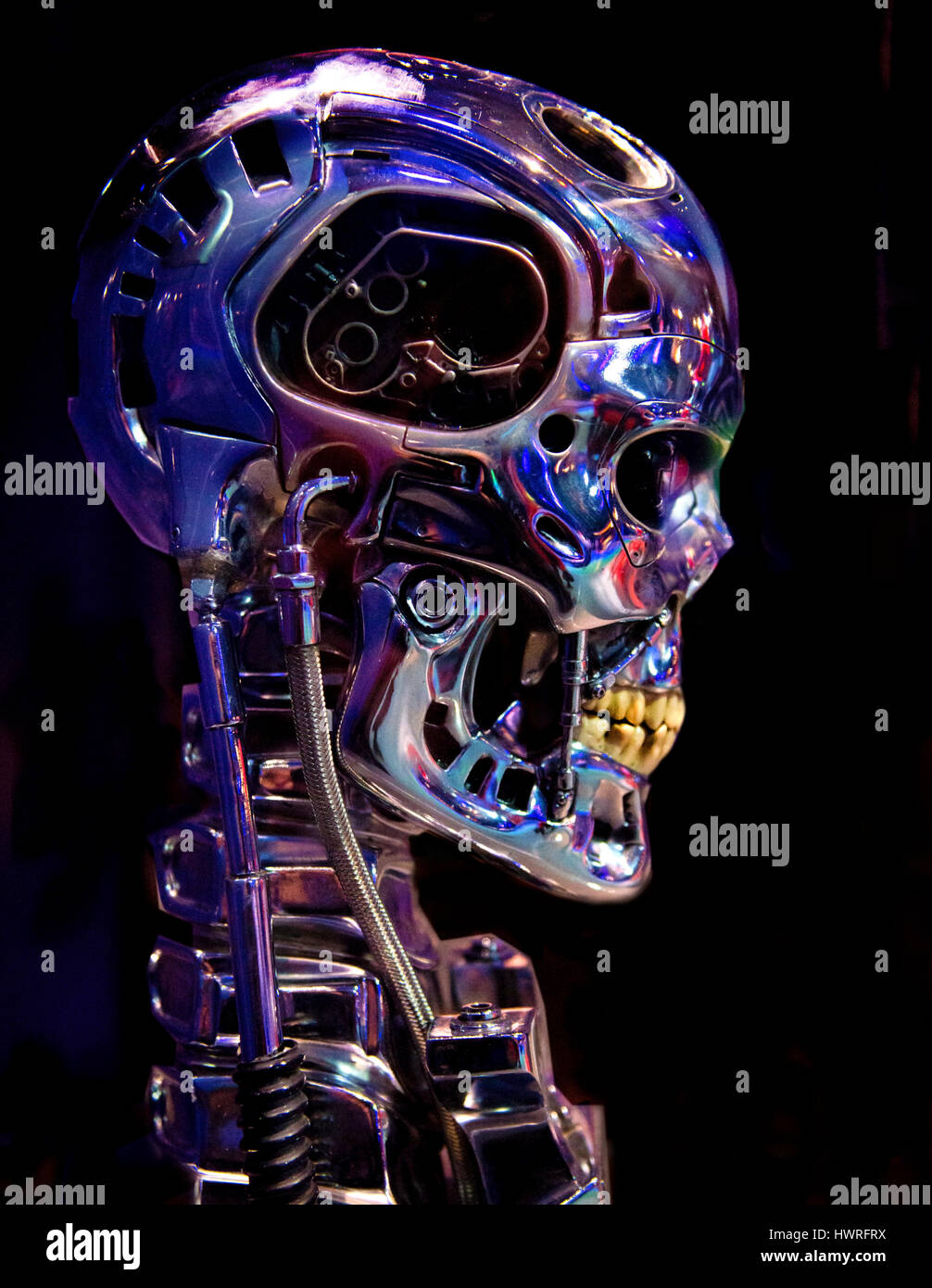 Profile of Terminator head Stock Photo