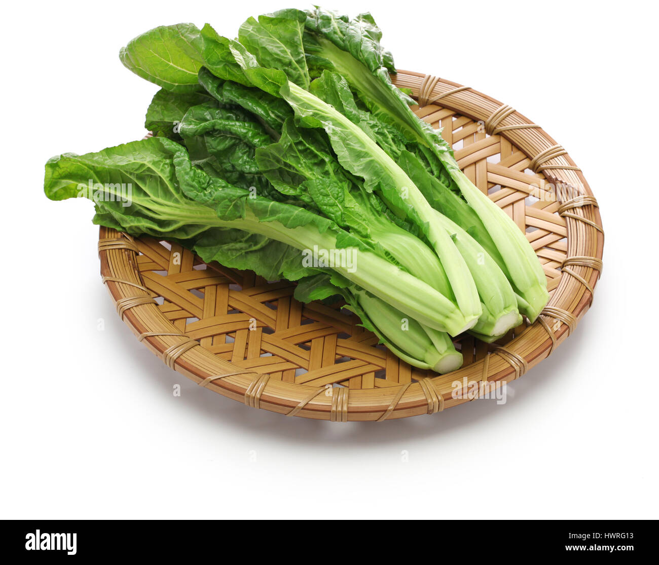 Takana Ras takana, brassica juncea var integrifolia, japanese leaf vegetable Stock ...