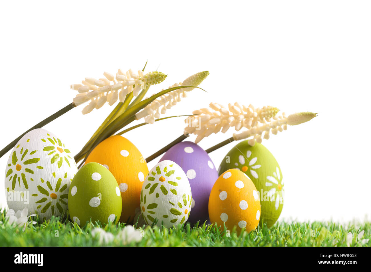 Row of Easter eggs on grass with a white background Stock Photo