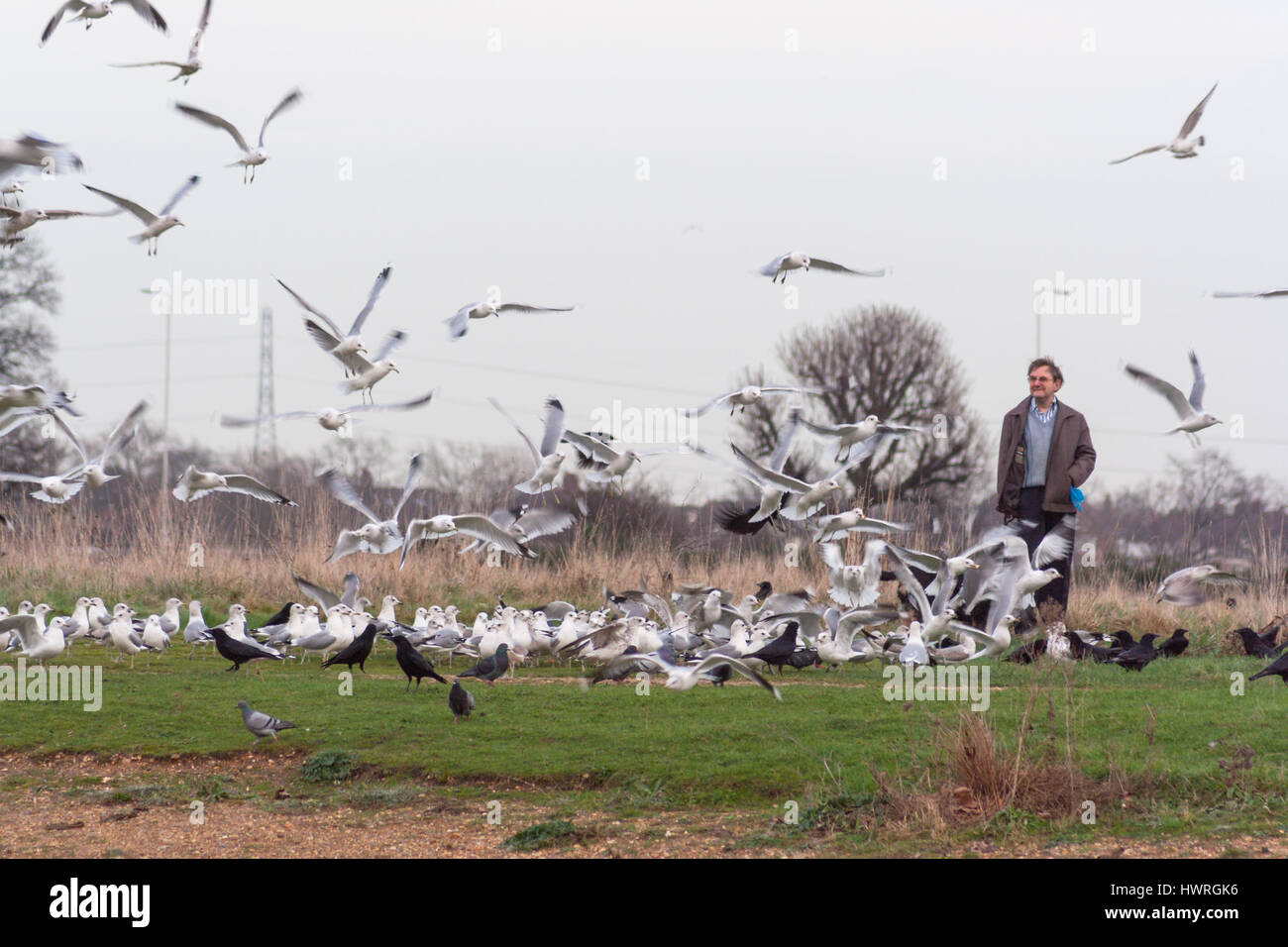 Wanstead flats, forest gate, london, e7 Stock Photo