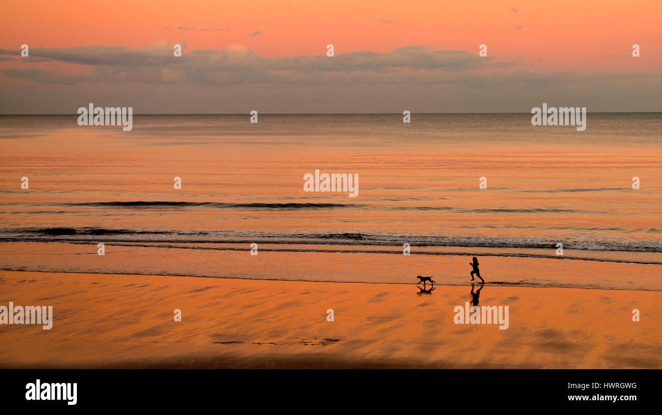A woman jogging with her dog on Scarborough beach Stock Photo Alamy