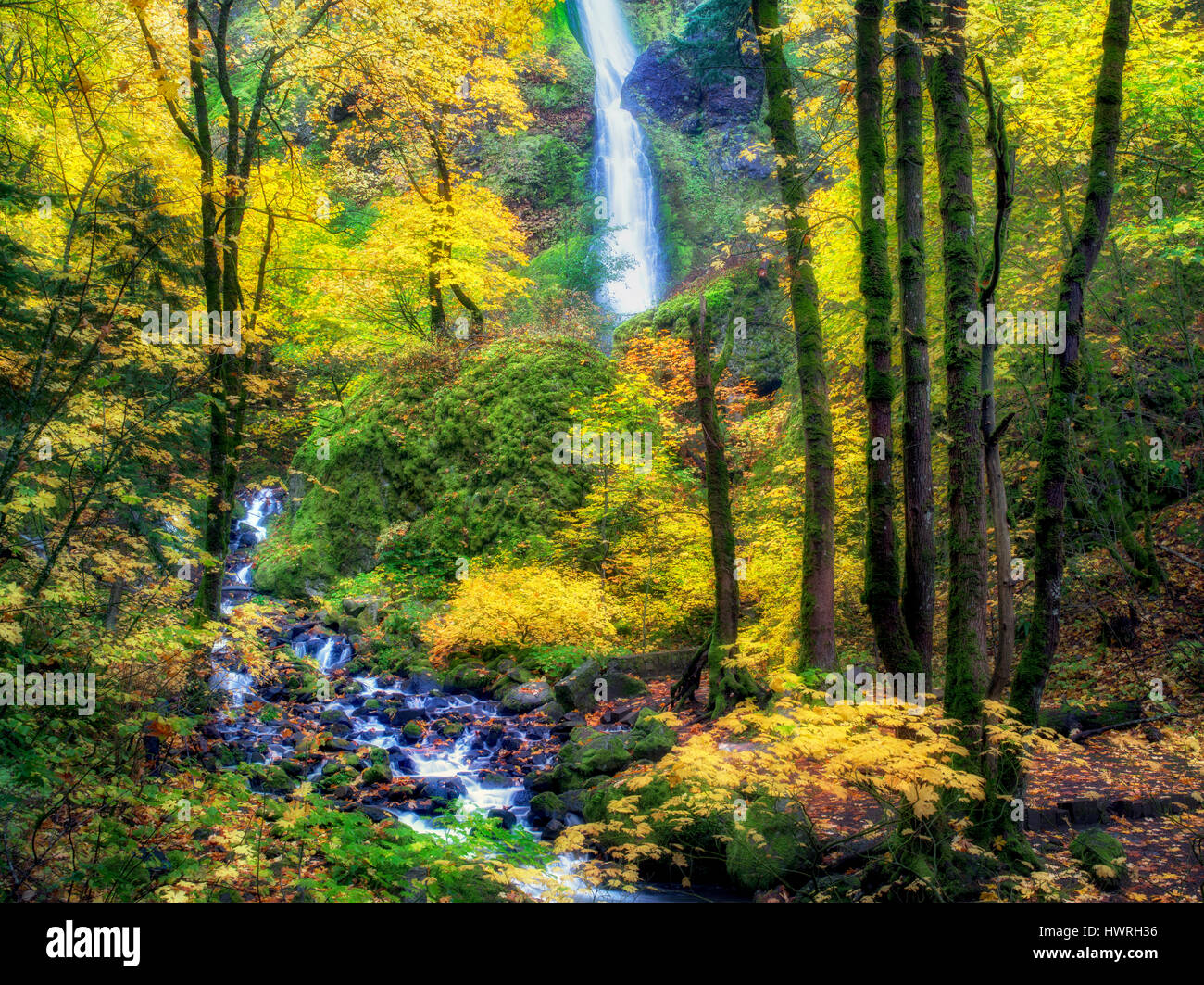Starvation Creek and waterfalls with fall colors.Columbia River Gorge National Scenic Area, Oregon Stock Photo