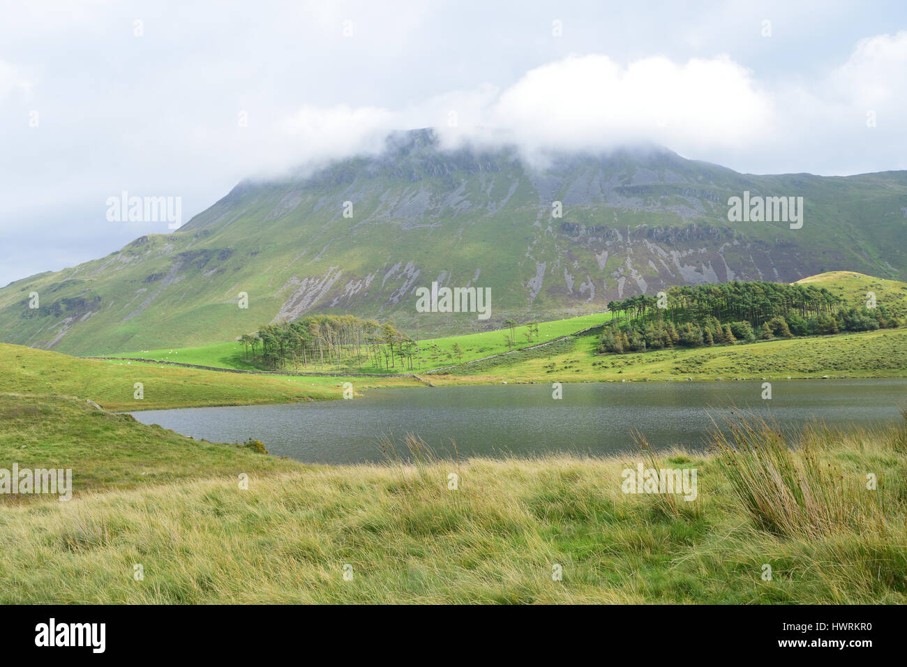 Peaceful scenery near Cregennan Lakes and Cadair Idris Stock Photo