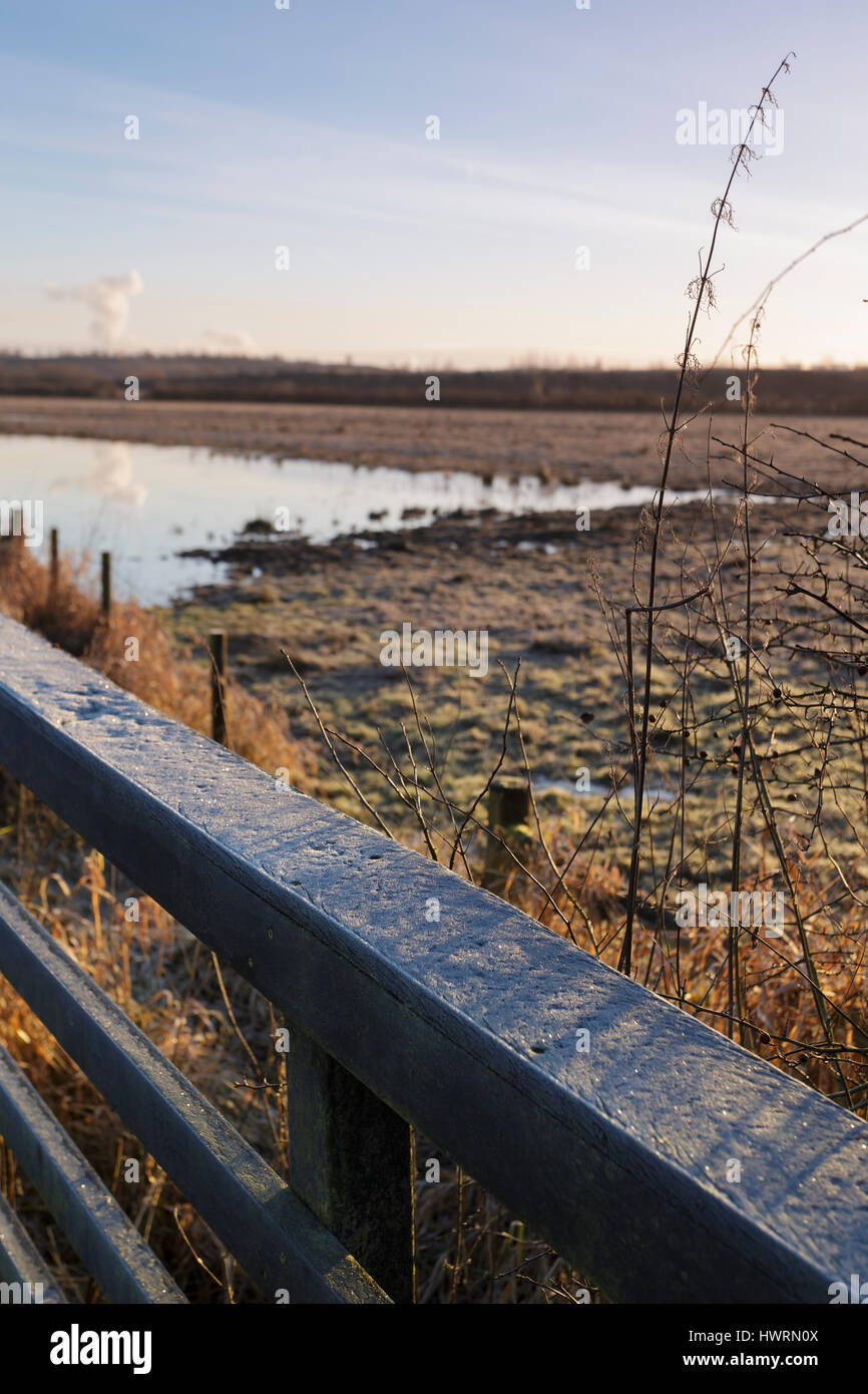 Frosted wooden rail, Lin Dyke, RSPB Fairburn Ings, West Yorkshire, England, January Stock Photo