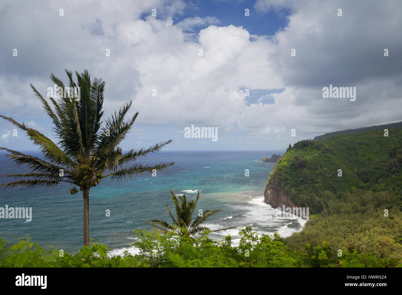 View on the north coast of Big Island, Hawaii, USA, at the Pololu Valley. Stock Photo