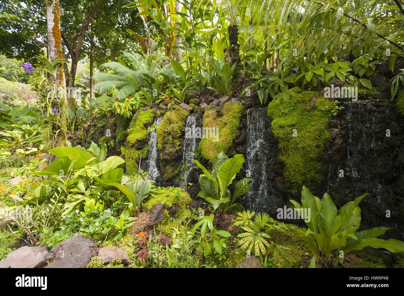 Singapore, Botanic Gardens, water feature Stock Photo Alamy