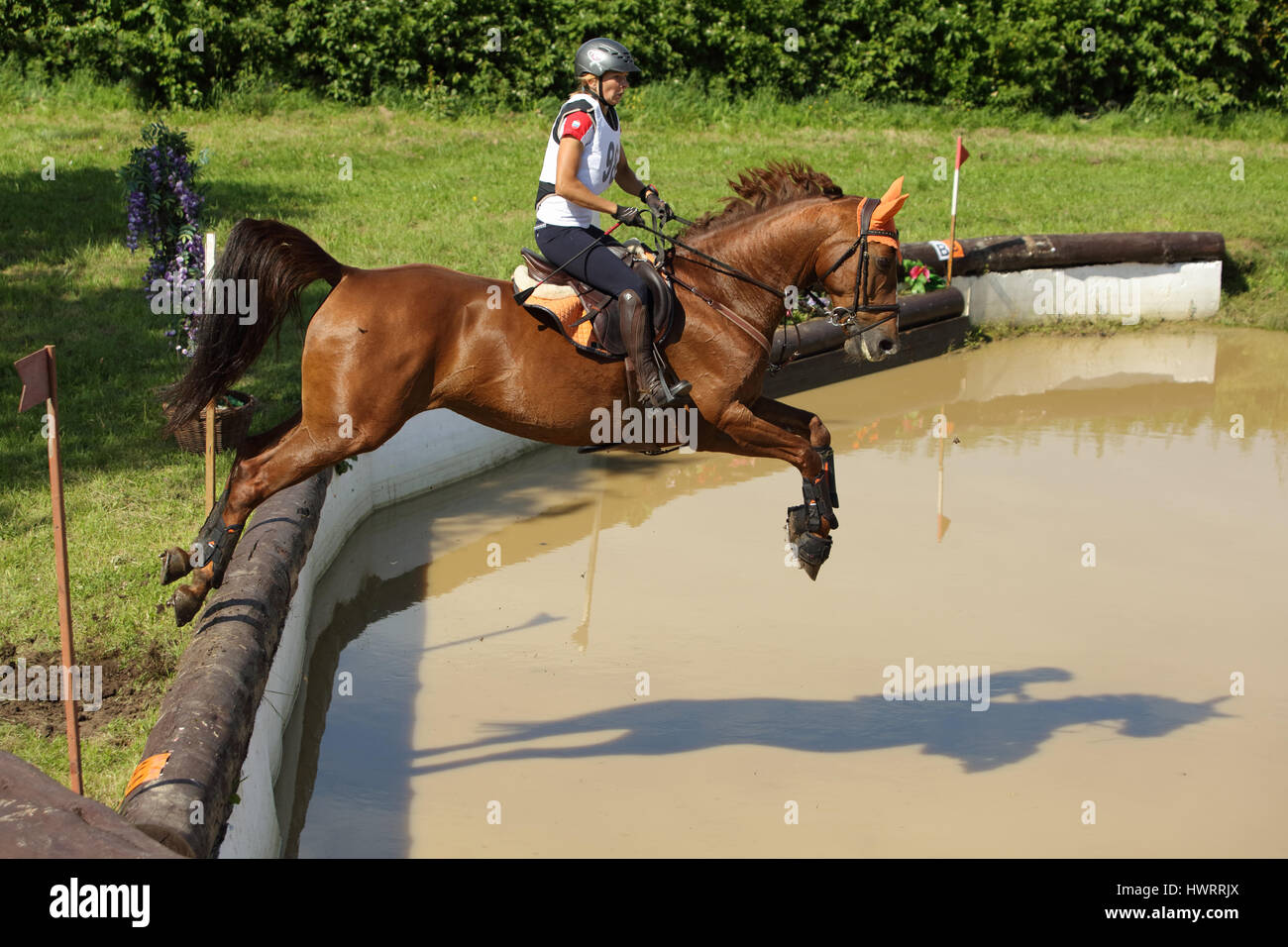Horse and rider jumping cross country water jump at Moscow Horse Trials Stock Photo