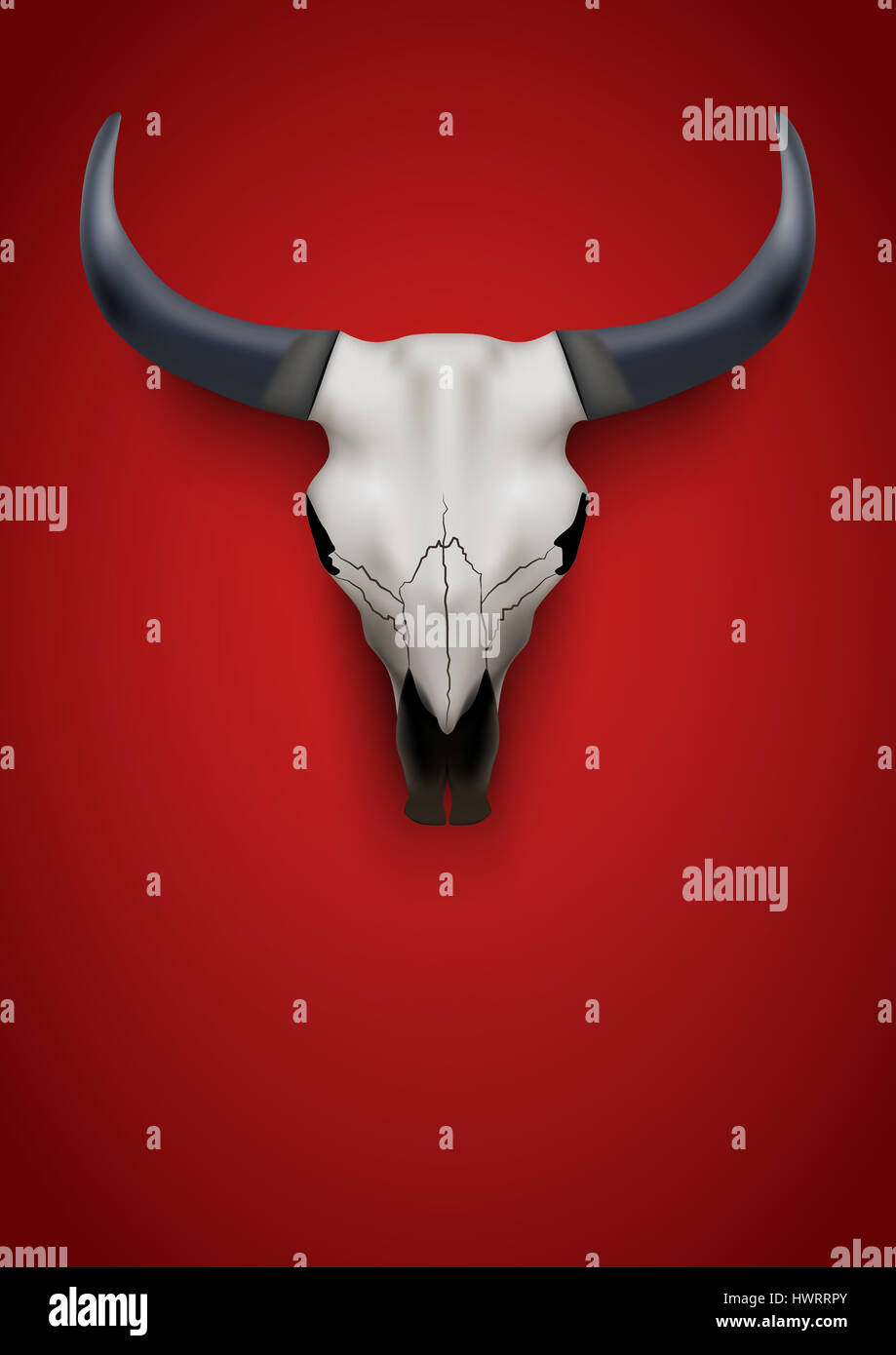Bull Skull Poster and Background. Animal Illustration Stock Photo Alamy