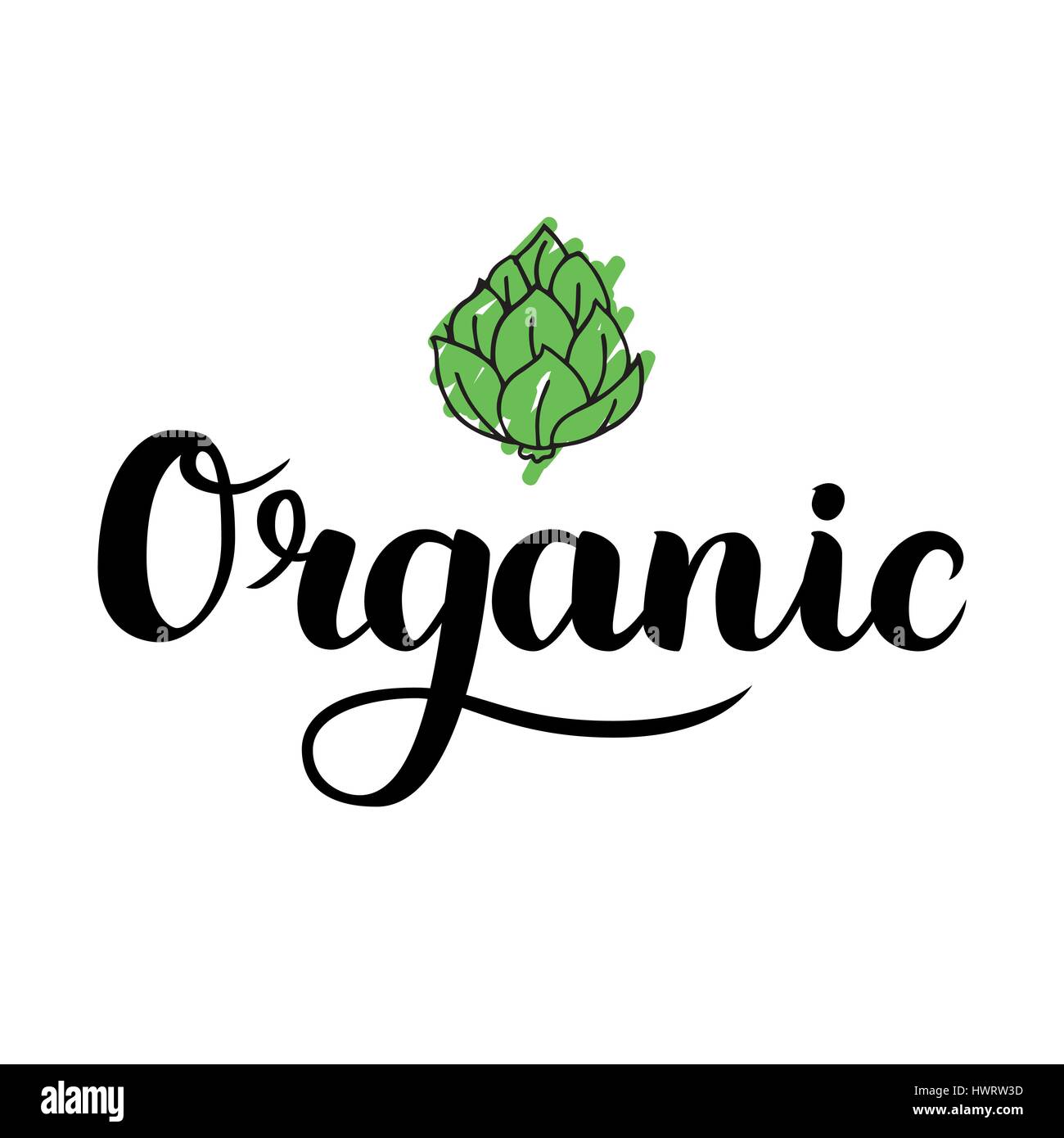 Organic brush lettering. Hand drawn word organic with green artichoke. Label, logo template for organic products, healthy food markets. Vector illustration Stock Vector
