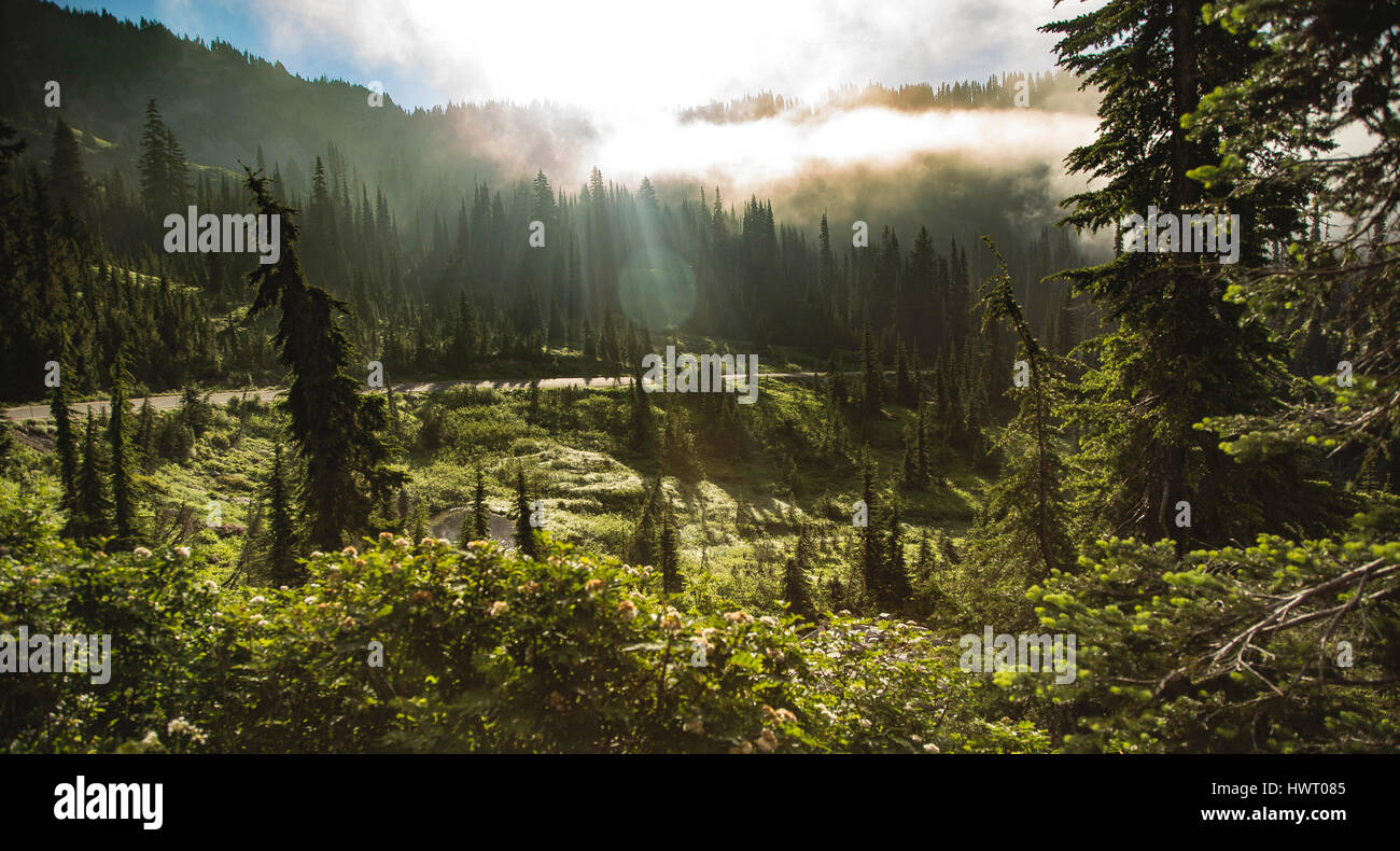 Mount rainier national park sunrise hires stock photography and images