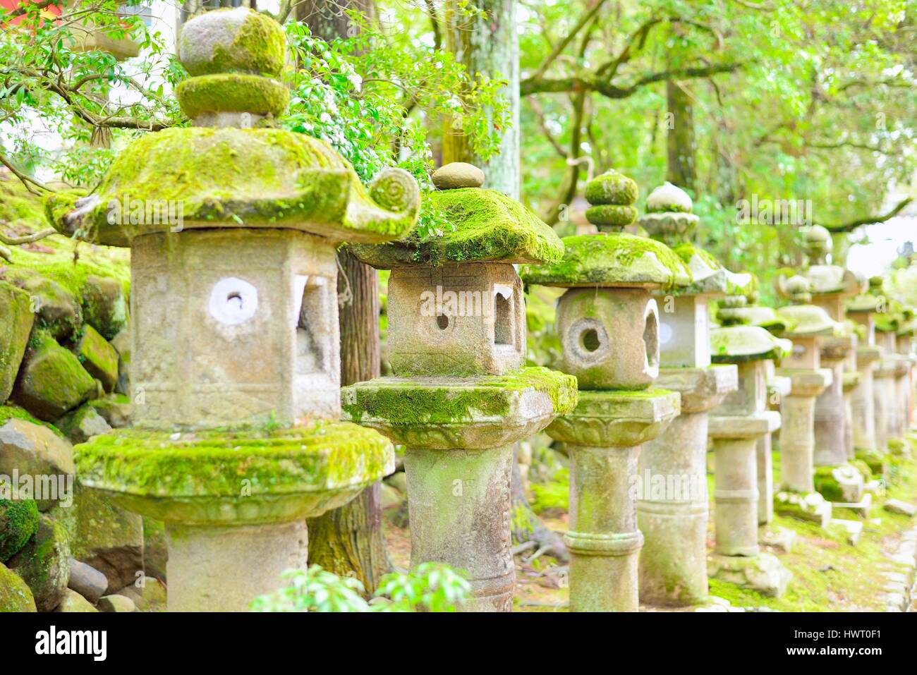 Old stone lanterns in Nara, Japan. Selective focus. Stock Photo