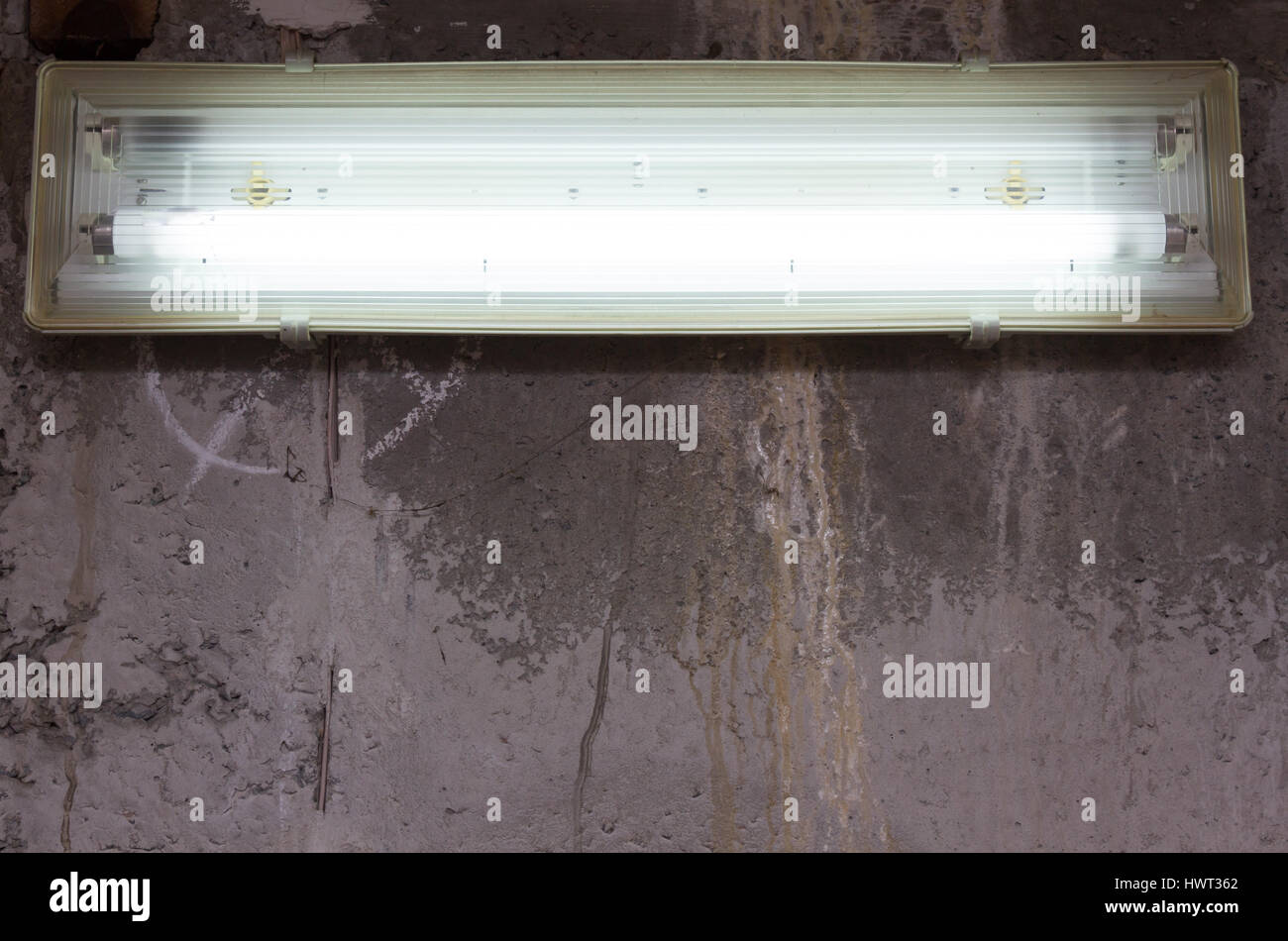 Burning daylight lamp Stock Photo Alamy