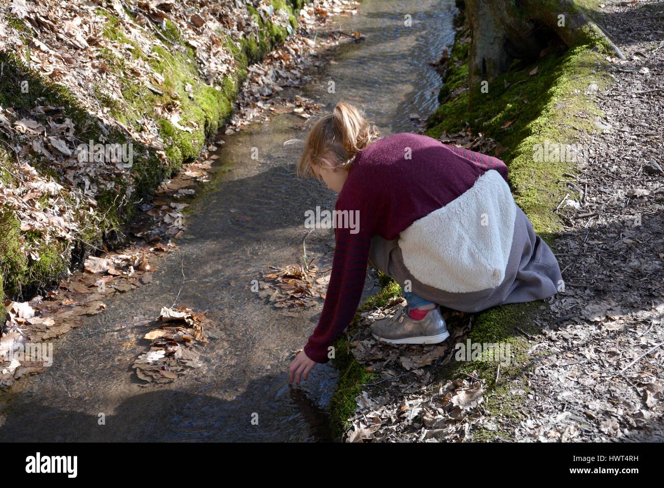 Young girl holds hand in the water of a brook in the wood Stock Photo