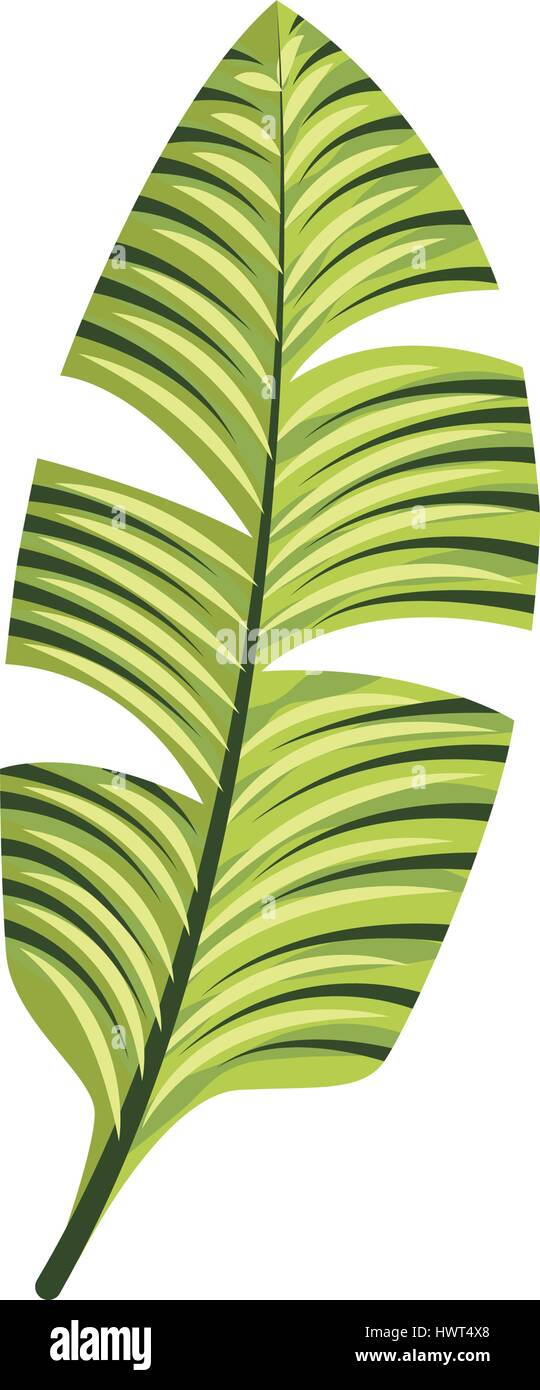 tropical leafs decorative icon Stock Vector Image & Art - Alamy