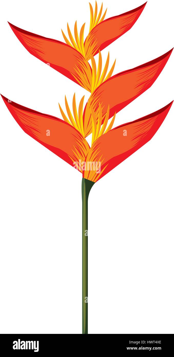 exotic and tropical flower icon Stock Vector Image & Art - Alamy