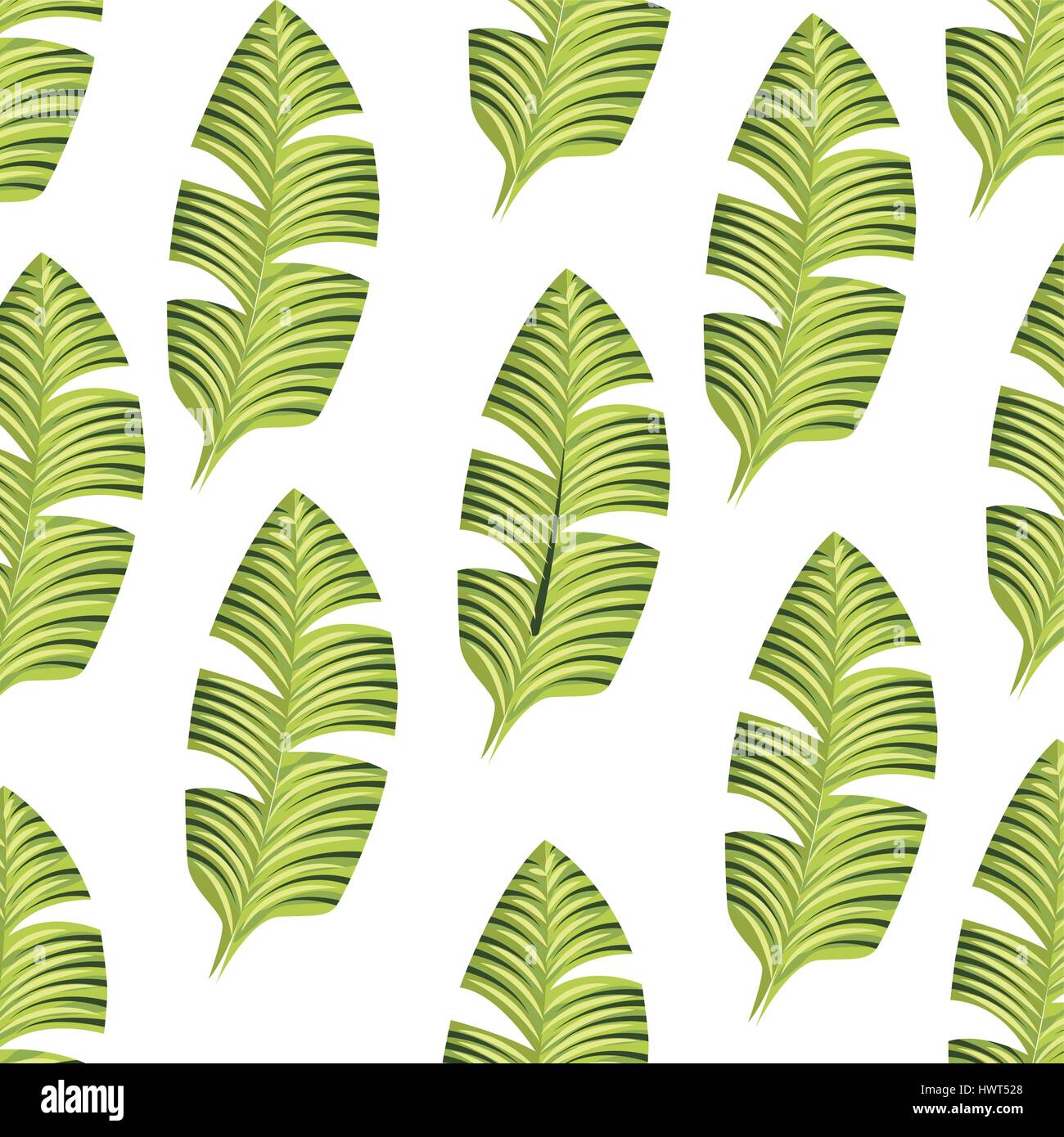 tropical leafs decorative icon Stock Vector Image & Art - Alamy