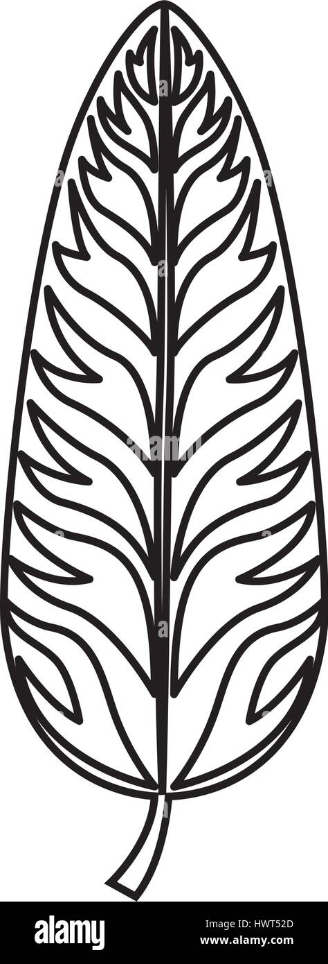 tropical leafs decorative icon Stock Vector Image & Art - Alamy