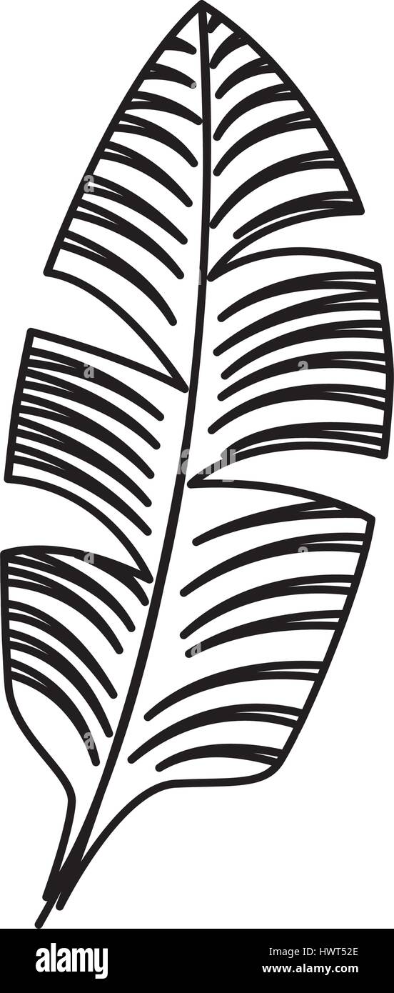 tropical leafs decorative icon Stock Vector Image & Art - Alamy