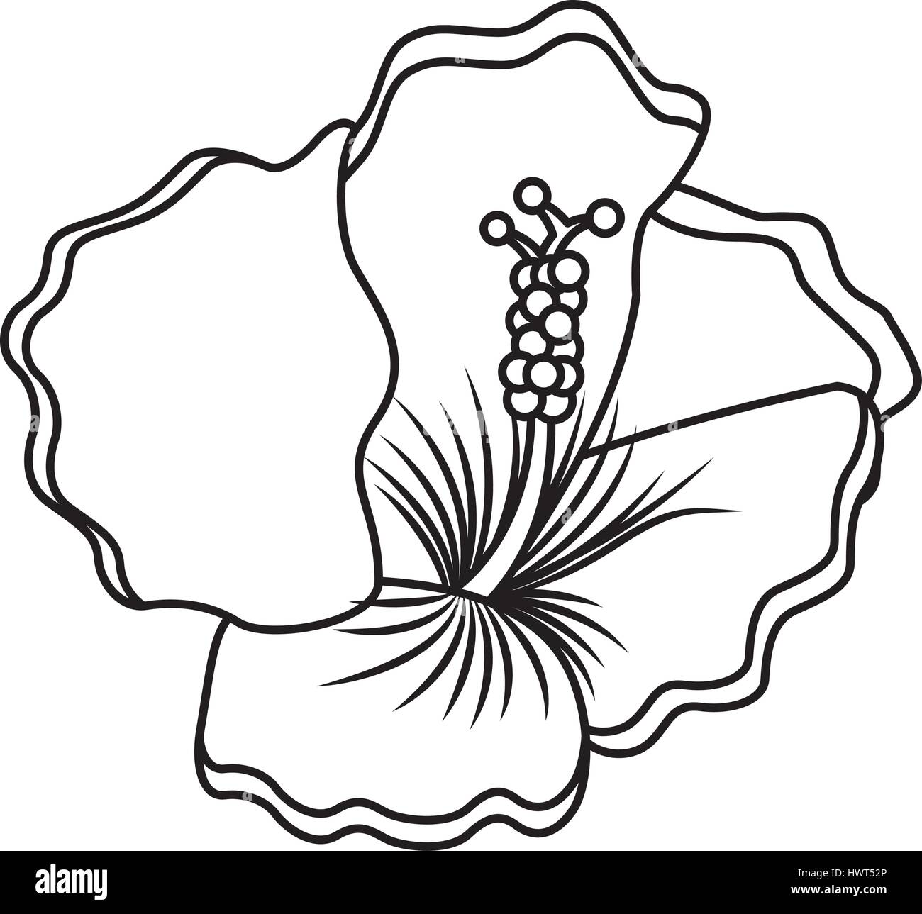 exotic and tropical flower icon Stock Vector Image & Art - Alamy
