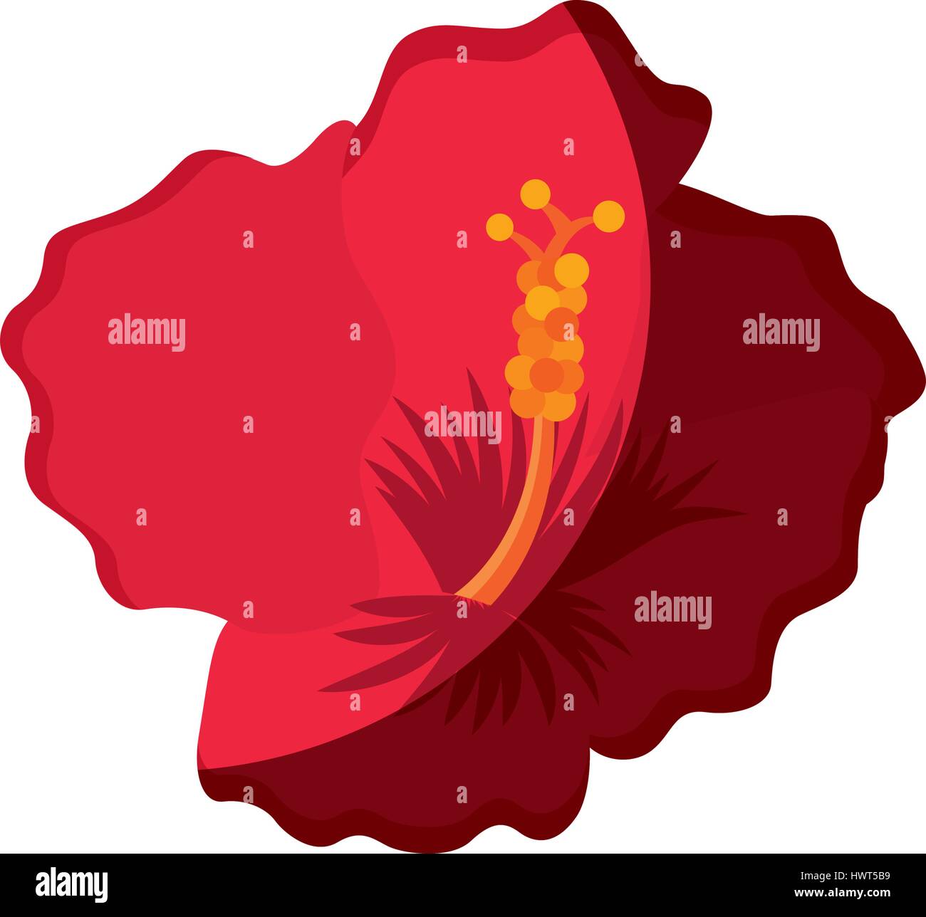 exotic and tropical flower icon Stock Vector Image & Art - Alamy